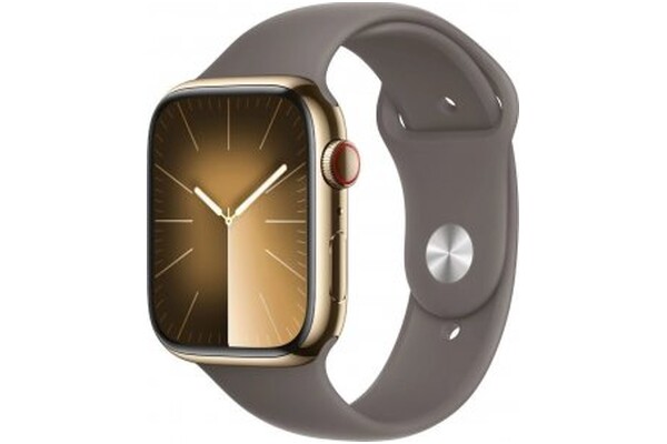 Smartwatch Apple Watch Series 9 szary