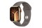 Smartwatch Apple Watch Series 9 szary