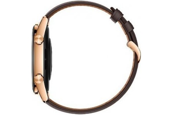 Smartwatch HONOR Watch GS 3