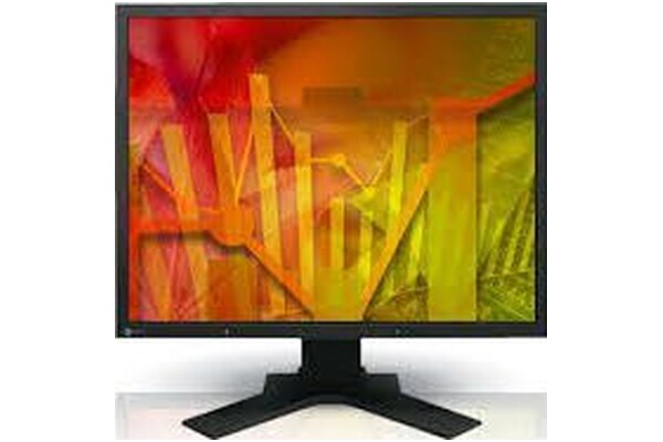 Monitor 21.3" EIZO FlexScan S2133 czarny