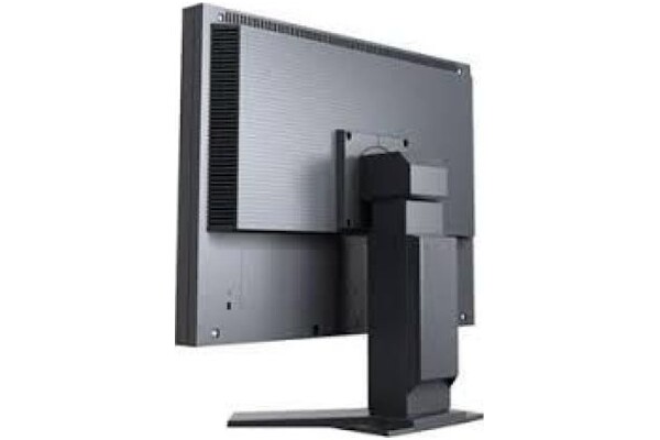 Monitor 21.3" EIZO FlexScan S2133 czarny