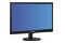 Monitor 18.5" Philips V-Line 193V5LSB2/10 czarny