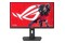 Monitor 24.5" ASUS ROG Strix XG259CMS czarny