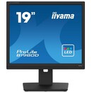 Monitor 19" IIYAMA B1980D-B5 czarny