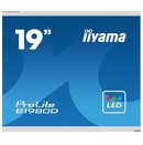 Monitor 19" IIYAMA B1980D-W5 biały