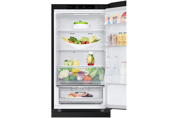 Lodówka LG GBV3100EEP