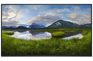 Monitor 23.8" DELL P2425H czarny