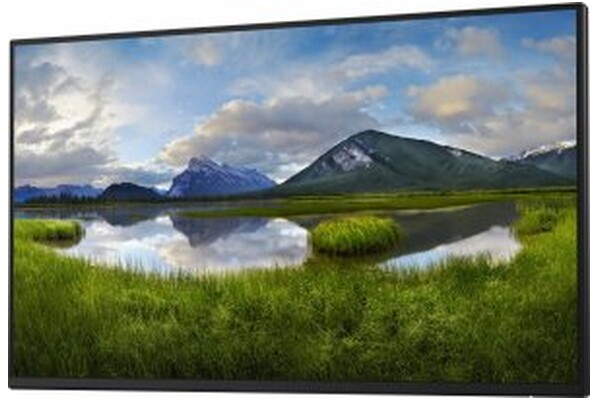 Monitor 23.8" DELL P2425H czarny