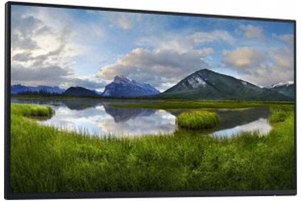Monitor 23.8" DELL P2425H czarny