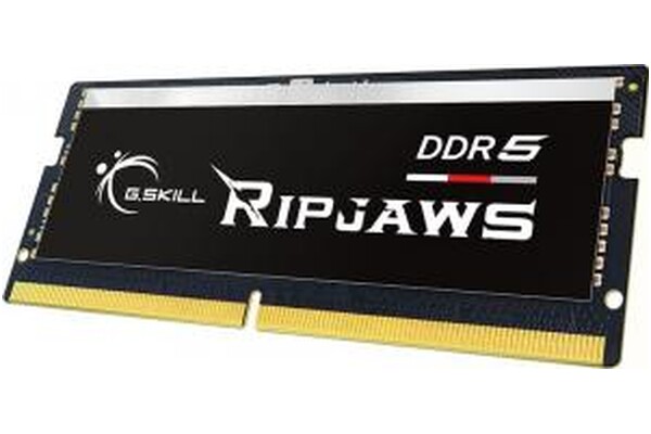 Pamięć RAM G.Skill Ripjaws 16GB DDR5 4800MHz 1.1V 40CL