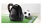 Odkurzacz Bosch BGN2CHAMP tradycyjny workowy 600W czarny