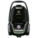 Odkurzacz Electrolux EUOC9GREEN UltraOne tradycyjny workowy zielony