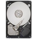 Dysk wewnętrzny Lenovo 45J7918 HDD SATA (3.5") 1TB