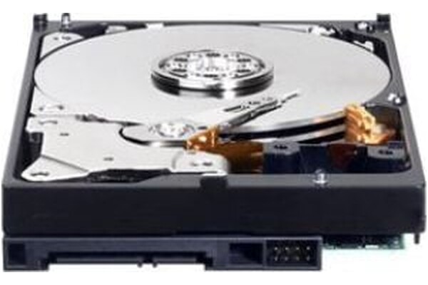 Dysk wewnętrzny WD WD5000AZRZ Blue HDD SATA (3.5") 500GB