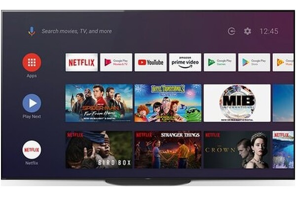 Telewizor Sony KD55AG9 55" 4K Ultra HD