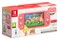 Konsola Nintendo Switch Lite różowy + Animal Crossing New Horizons + NS Online 12 mies