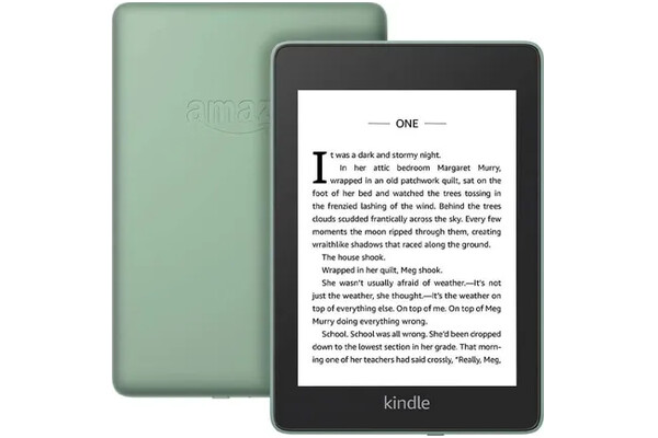 Czytnik Amazon Kindle Paperwhite 4 32GB zielony