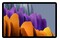 Tablet Samsung Galaxy Tab S7+ 12.40" Qualcomm Snapdragon 865 6.0GB/128GB, srebrny