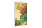 Tablet Samsung Galaxy Tab A7 Lite 8.70" MediaTek Helio P22T 3.0GB/32GB, LTE, srebrny