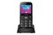 Smartfon myPhone Halo C czarno-srebrny 2.20" poniżej 0.1GB/poniżej 0.5GB