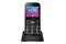 Smartfon myPhone Halo C czarno-srebrny 2.20" poniżej 0.1GB/poniżej 0.5GB
