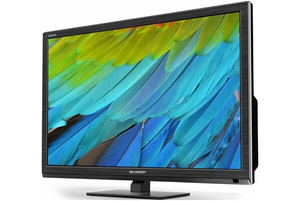 Telewizor Sharp LC22CFF4011E 22" Full HD