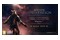 Elden Ring Nightreign Edycja Kolekcjonerska Xbox (One/Series X)