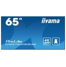 Monitor 64.5" IIYAMA LH6575UHS-B1AG czarny