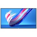 Monitor 54.6" Philips Q-Line 55BDL3650Q/00 czarny