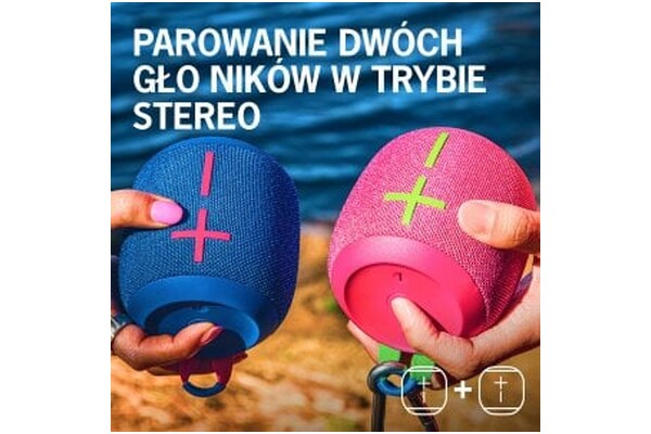 głośnik Bluetooth Logitech S55163367 szary