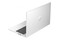 Laptop HP ProBook 450 G10 15.6" Intel Core i5 1335U INTEL UHD 32GB 512GB SSD Windows 11 Professional srebrny