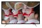 Telewizor Thomson 55FA5404 55" Full HD