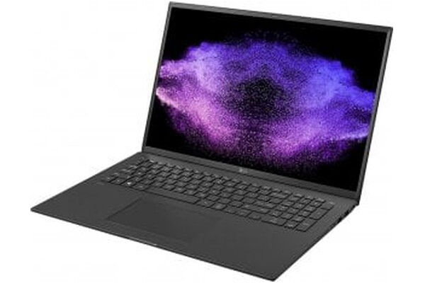 Laptop LG Gram 17.0" Intel Core i5 1340P INTEL Iris Xe 16GB 512GB SSD M.2 Windows 11 Home czarny