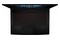 Laptop MSI Thin GF63 15.6" Intel Core i7 11800H NVIDIA GeForce RTX 3050 Ti 16GB 512GB SSD M.2 czarny