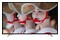 Telewizor Thomson 55FA5405 55" Full HD