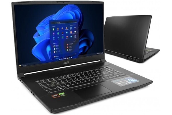 Laptop MSI Katana A17 17.3" AMD Ryzen 7 8845HS NVIDIA GeForce RTX 4050 64GB 2048GB SSD Windows 11 Home czarny