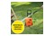 Myjka ciśnieniowa BLACK&DECKER BEPW1650-QS