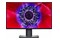 Monitor 25.0" DELL U2520D czarny