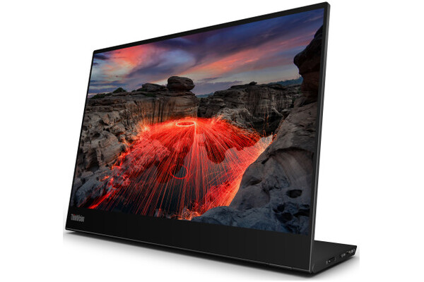 Monitor 14.0" Lenovo ThinkVision M14t