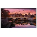 Monitor 98.0" Samsung QB98R czarny