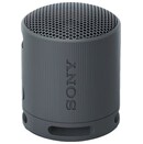 głośnik Bluetooth Sony SRSXB100 czarny