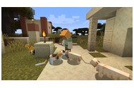 Minecraft Java and Bedrock PC