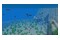 Minecraft Java and Bedrock PC