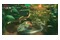 Donkey Kong Bananza 2 Nintendo Switch