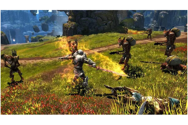 Kingdoms of Amalur Reckoning Definitive Ed. PlayStation 4