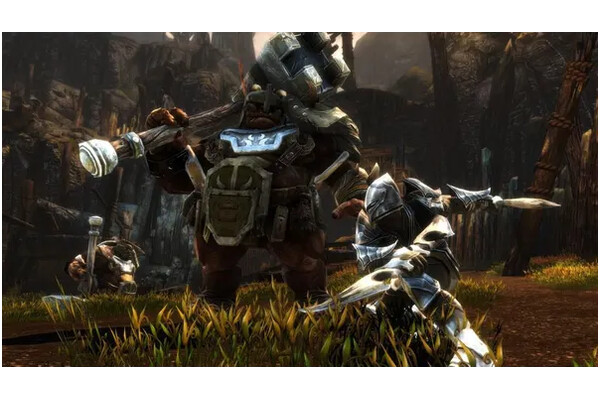 Kingdoms of Amalur Reckoning Definitive Ed. PlayStation 4