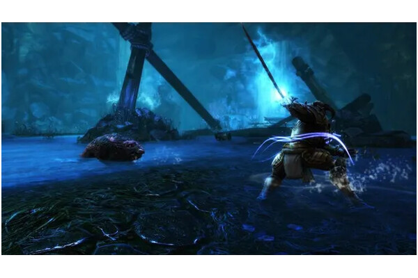 Kingdoms of Amalur Reckoning Definitive Ed. PlayStation 4