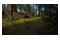 Way Of The Hunter 2 PlayStation 5