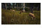 Way of the Hunter PlayStation 5