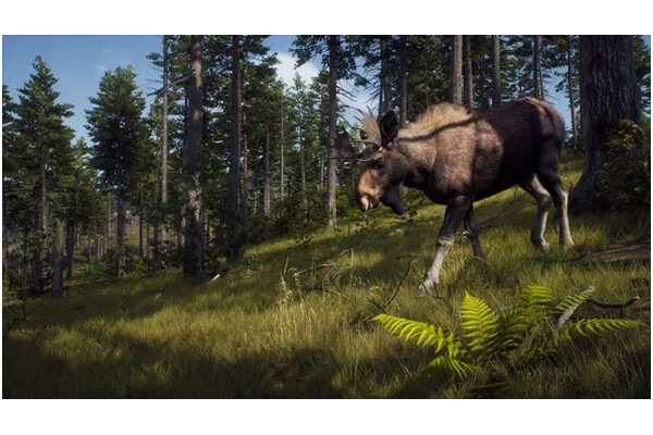 Way Of The Hunter 2 Xbox (Series X)